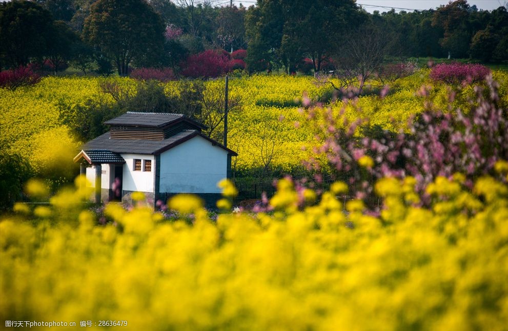 南京高淳慢城度假村