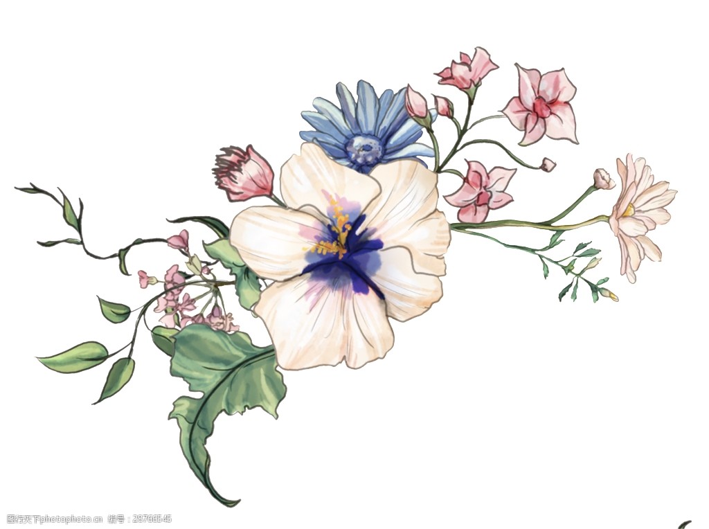 白色优雅花卉透明装饰图案
