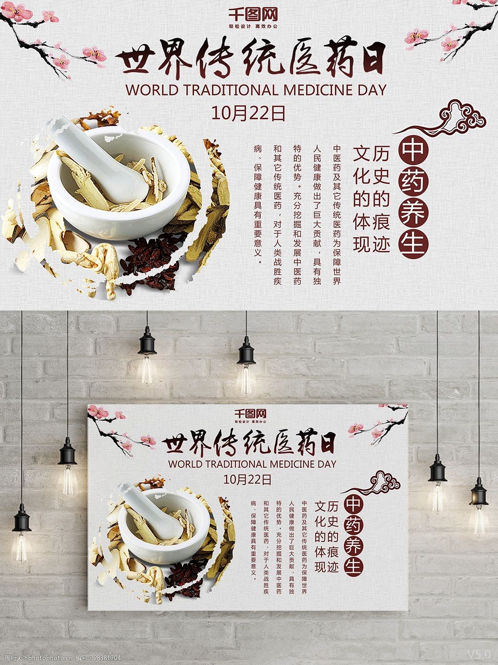 世界传统医药日中药养生有效医疗公益海报