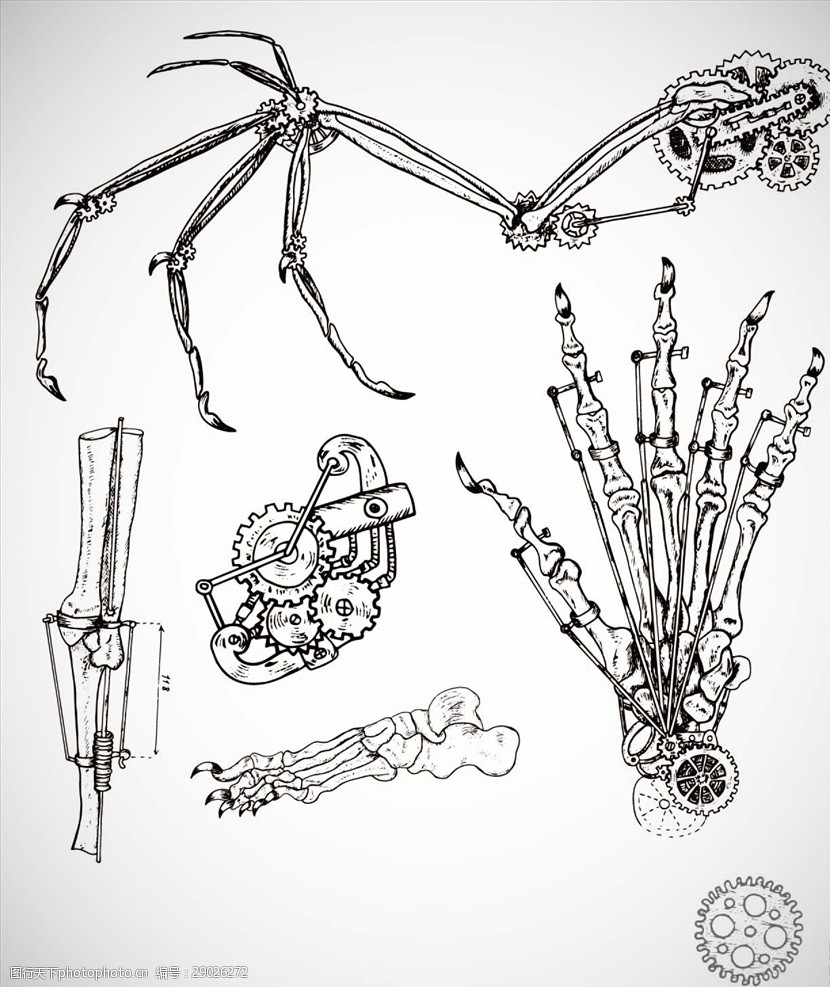 机械骨头矢量图下载