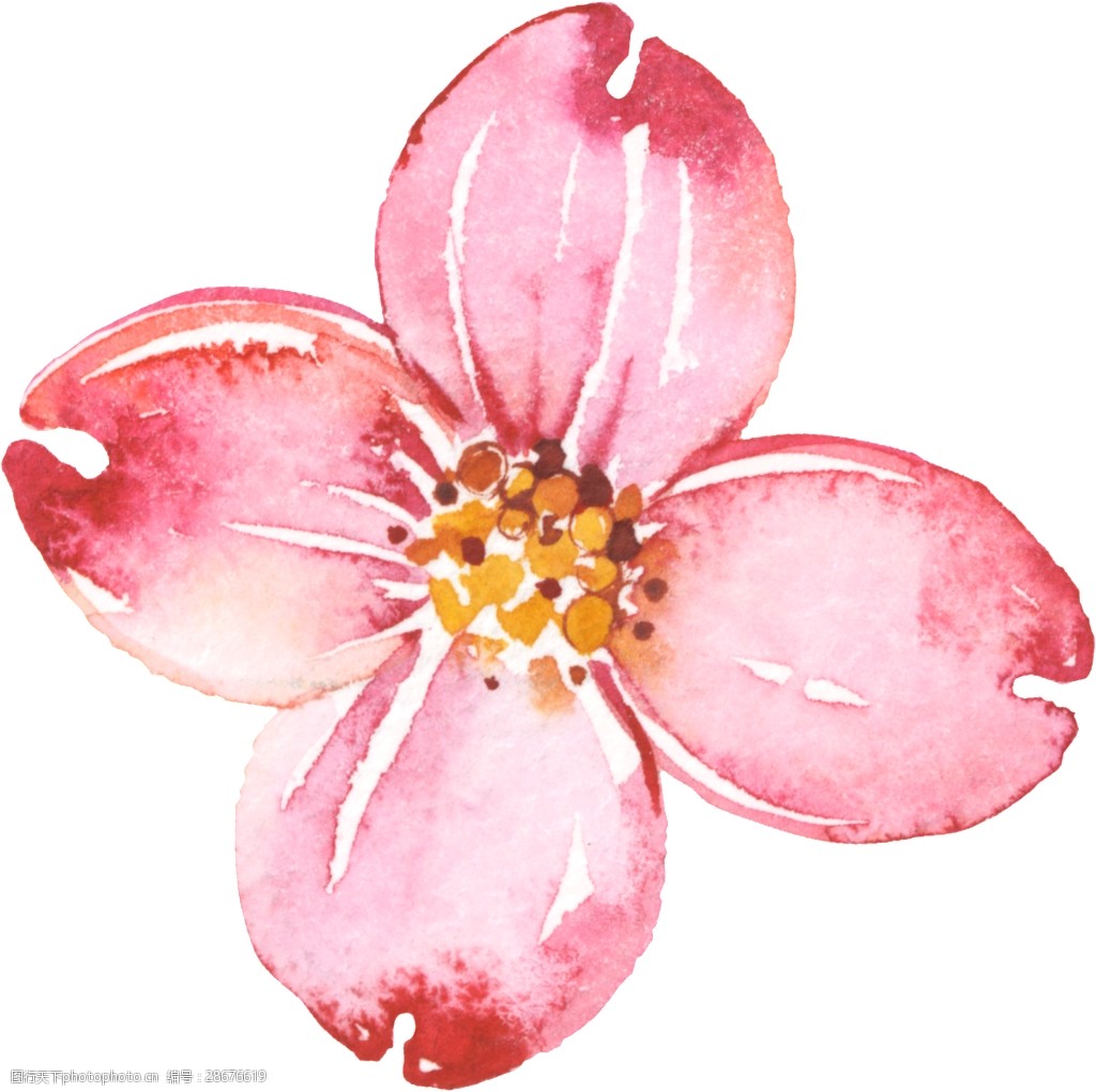 关键词:手绘复古花朵png透明素材 四片花瓣 水彩 红色 透明素材 免扣