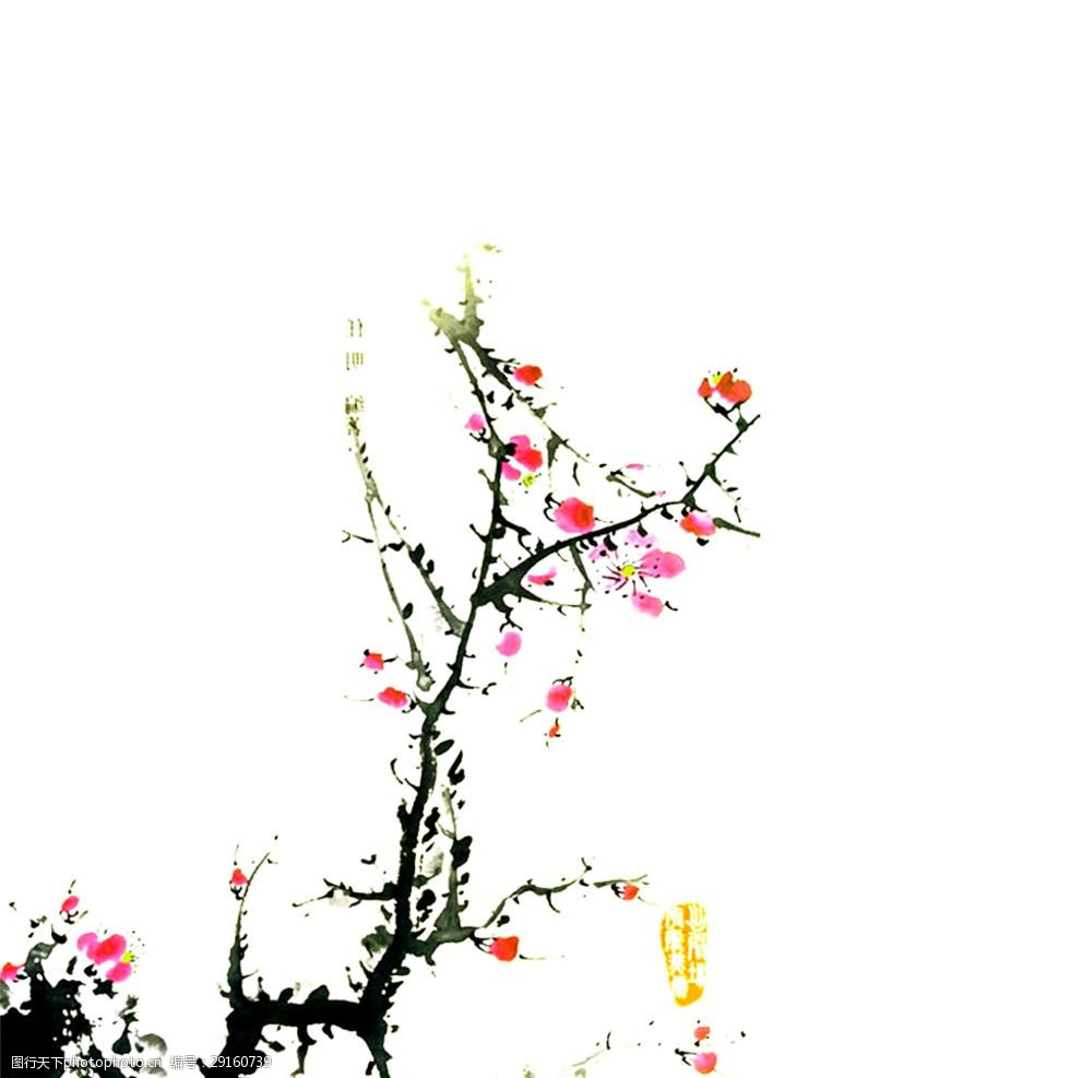 梅花图腊梅花国画梅花红梅