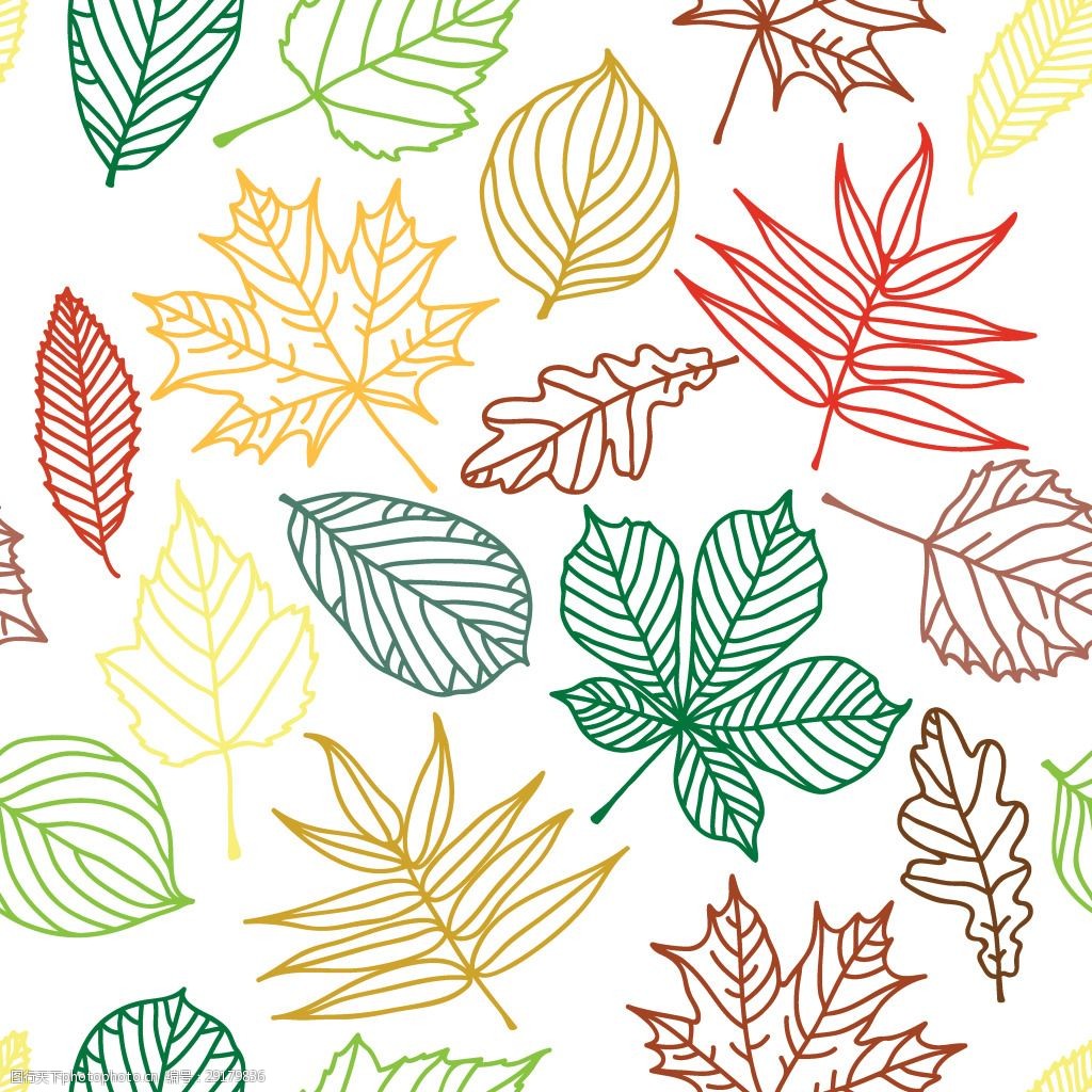 关键词:清新各种树叶形状壁纸图案 枫叶 树叶 彩色 线条画 壁纸图案