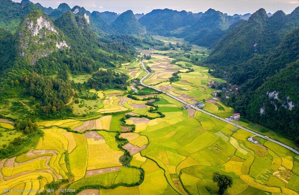 越南高平风景摄影山田地道路