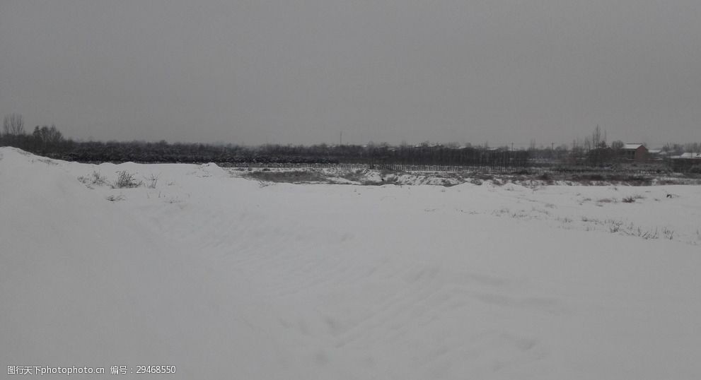 大雪 白雪 树木 寒冷 冬季 白色 乡村风采 摄影 自然景观 自然风景 72