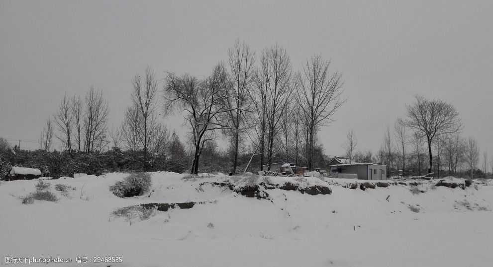 大雪 白雪 树木 寒冷 冬季 白色 乡村风采 摄影 自然景观 自然风景 72