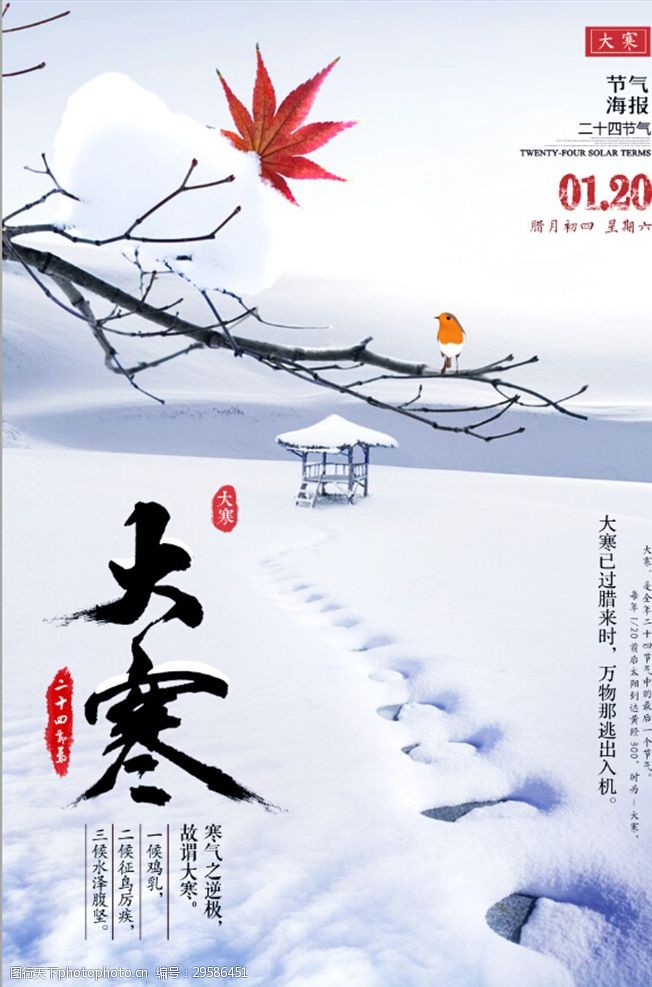 大寒24节气唯美雪景