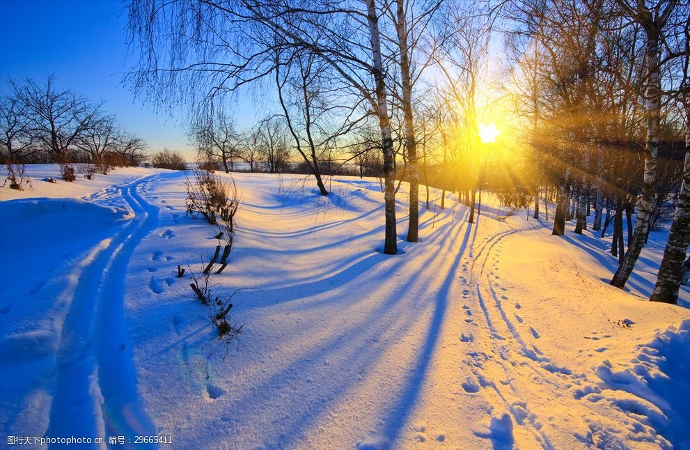 关键词:阳光树林雪地 阳光 树林 雪地 太阳 冬天 冬季 大自然 雪景 雪