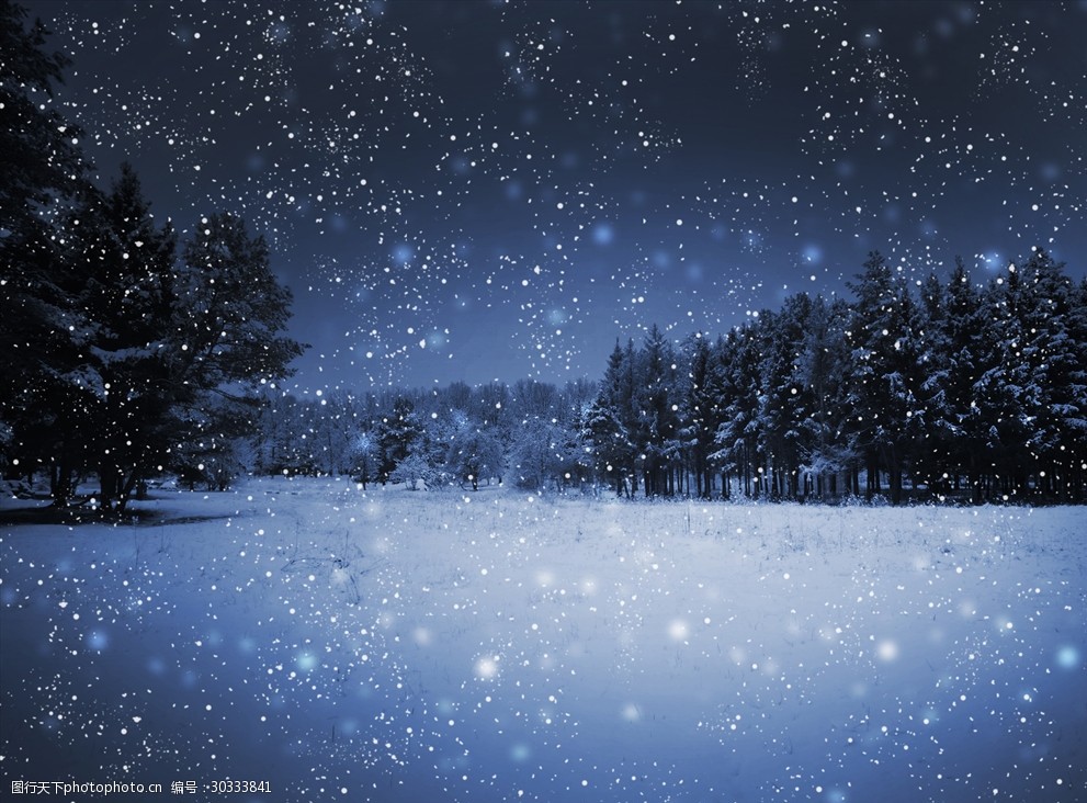 关键词:冬天下雪的森林 风景 冬天 飘雪 下雪 森林 摄影 自然景观