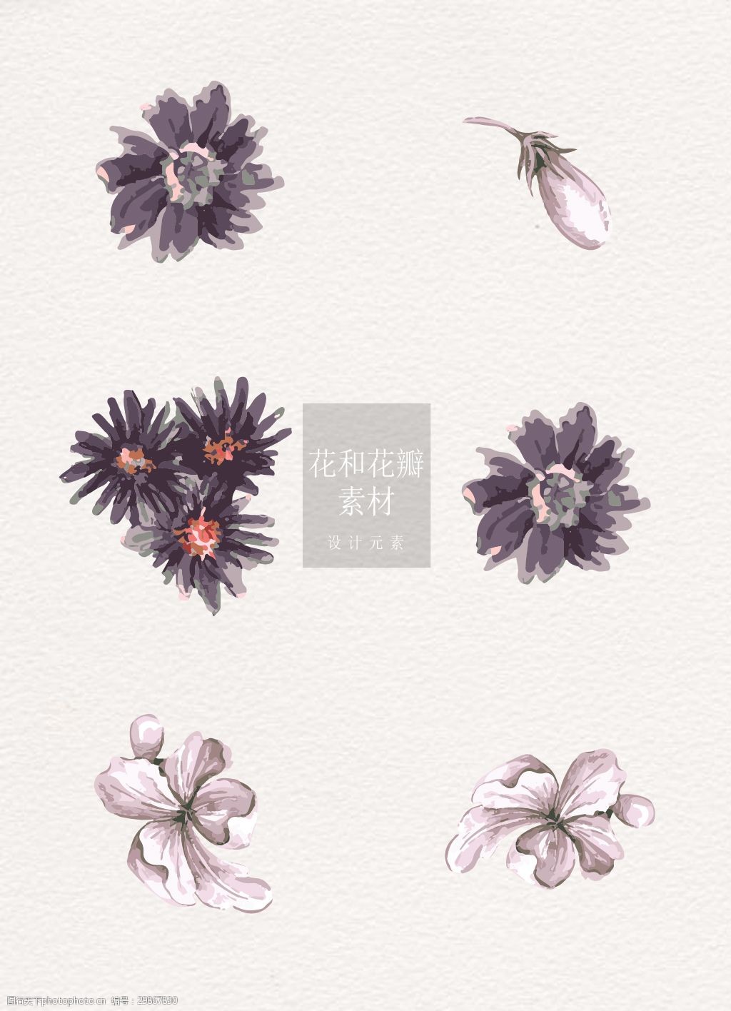 花朵 花瓣 设计 元素 素材 暗色系 花 花和花瓣 矢量 水彩 手绘