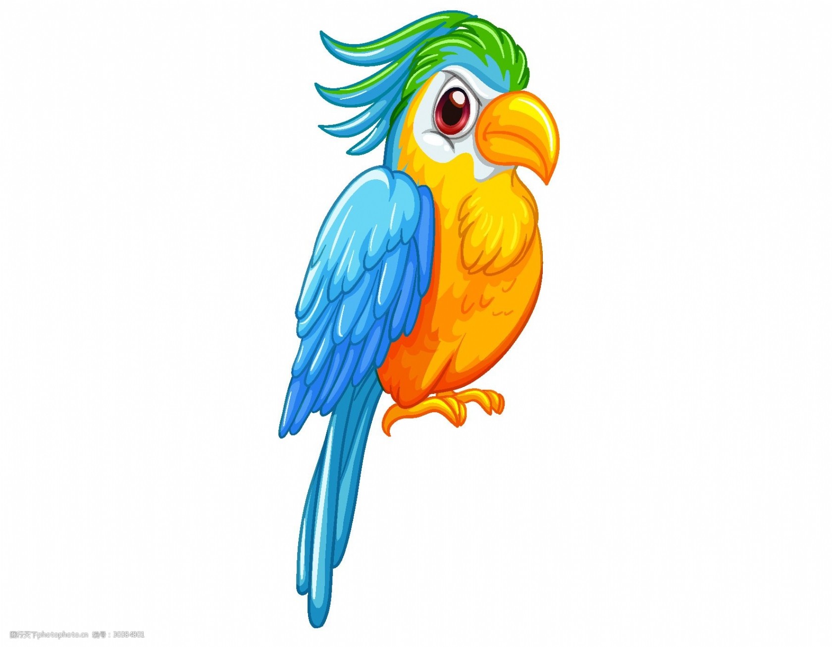 关键词:手绘卡通彩色鹦鹉矢量图 鹦鹉 小鸟 彩色 动物园 透明元素 ai