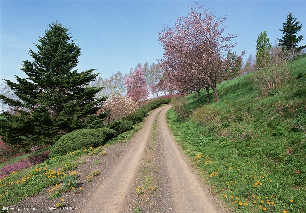 乡间道路农村公路