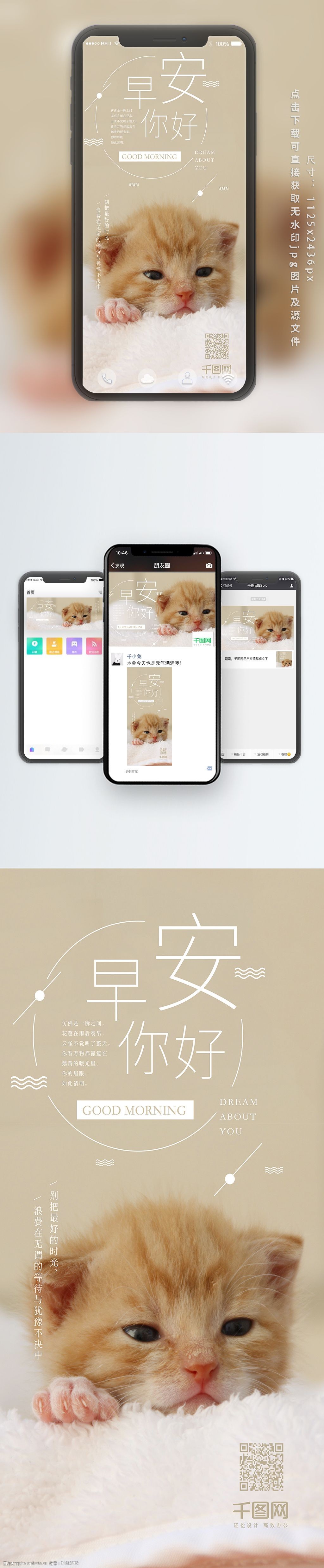 早安你好小猫简约恬静手机海报