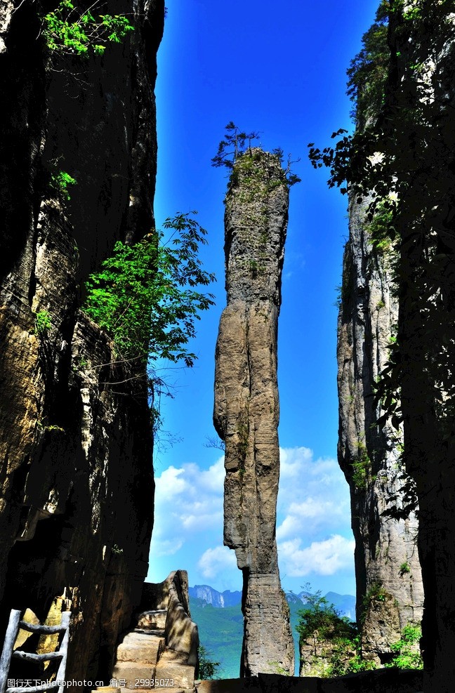 朱树英：“海派”律师要做“领头羊”