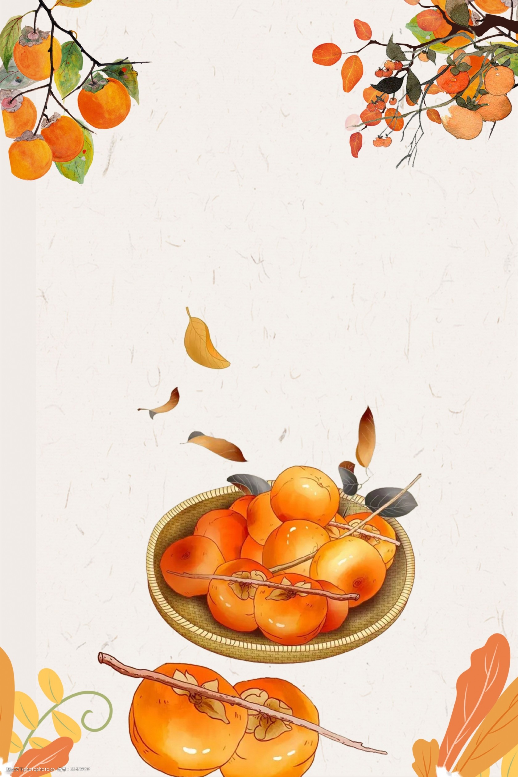 秋分柿子手绘海报背景