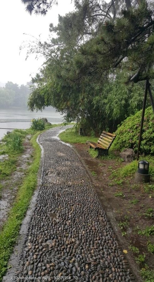 湖边 石子路 休息座椅 杭州 浙江大学 风景摄影 摄影 自然景观 自然