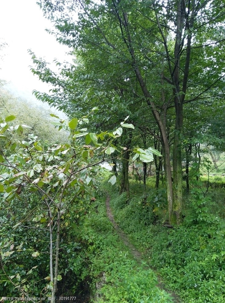 深山里的风景