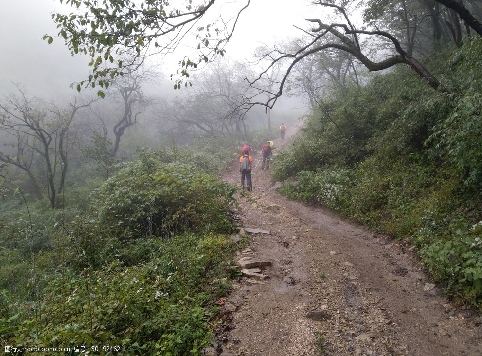 关键词:深山里的风景 深山 风景 云雾 道路 草地 山路 多娇江山 摄影