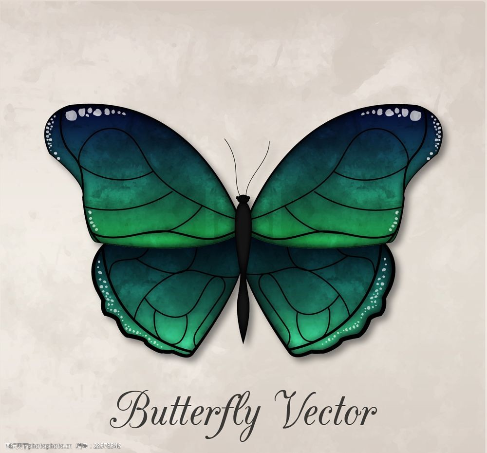 精美绿色蝴蝶设计矢量素材