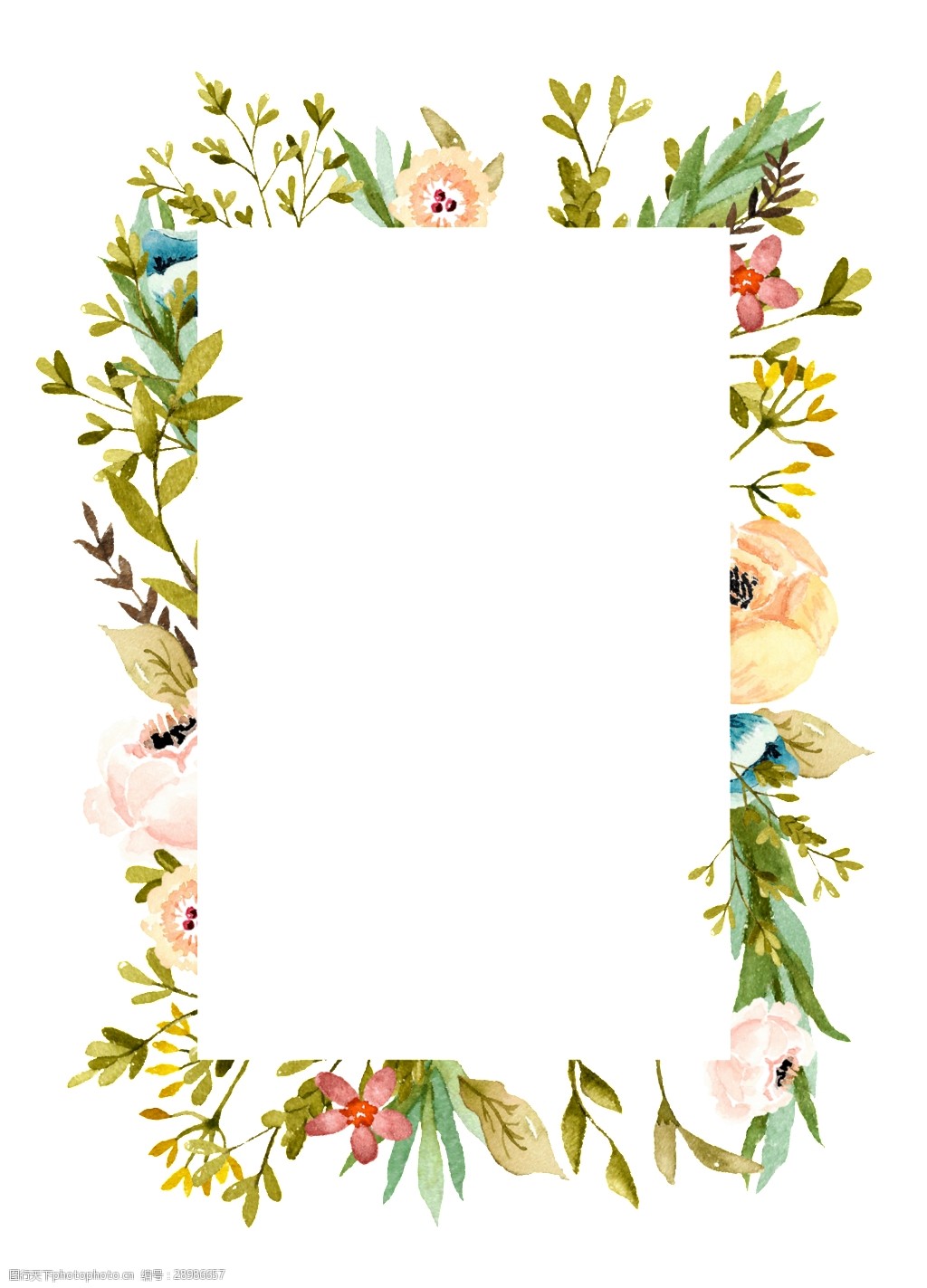 关键词:植物边框卡通透明素材 植物 边框 卡通 装饰 设计素材 背景