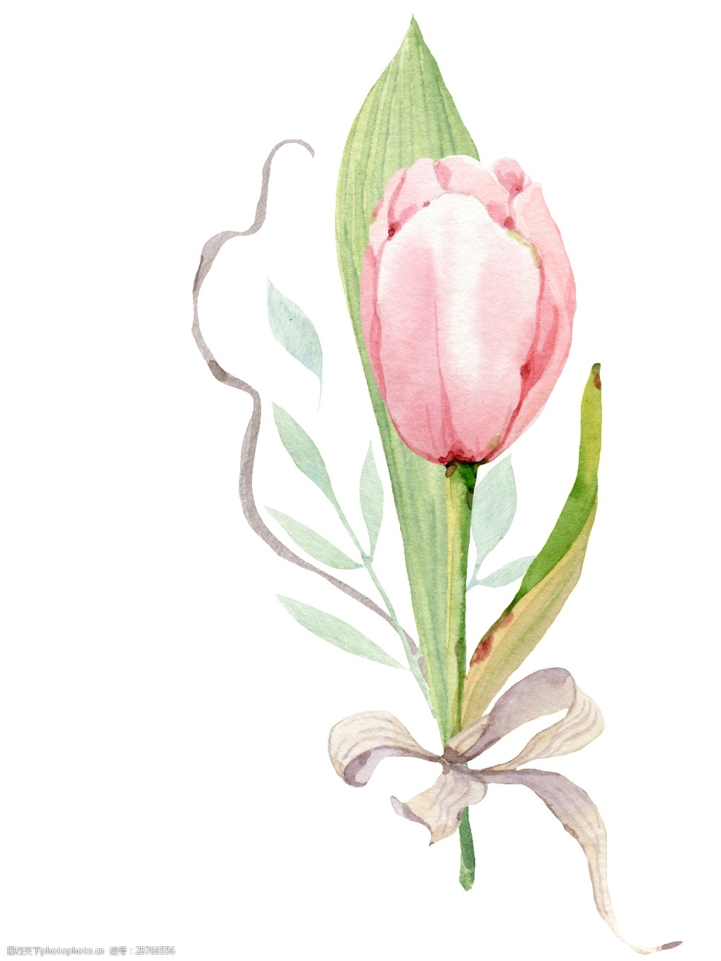 可爱花卉透明装饰图案