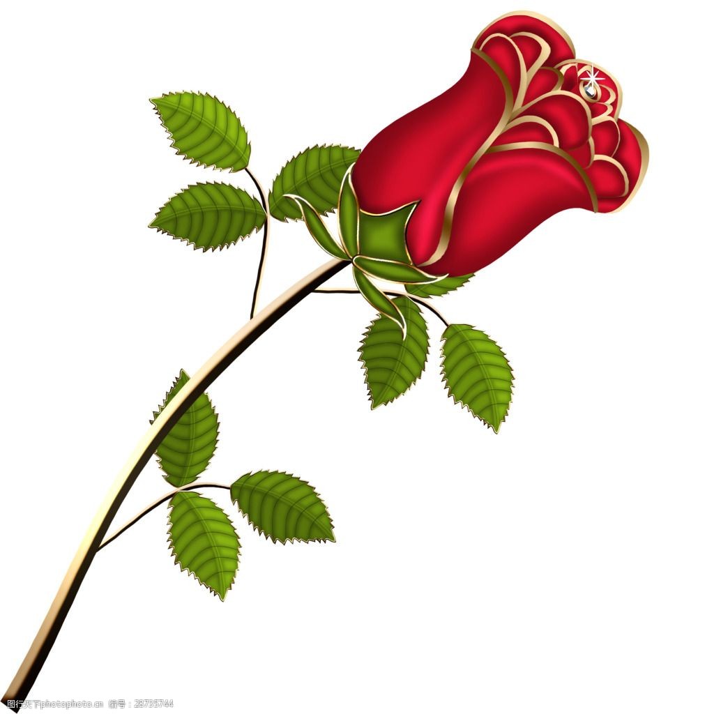 手绘玫瑰花朵元素 手绘 浪漫 绿叶 花枝 玫瑰 爱情 png 免扣 素材 png