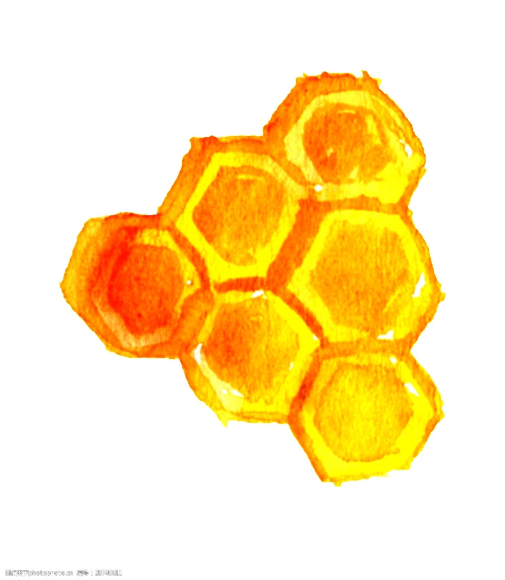 手绘蜂蜜色蜂巢细节装饰图案