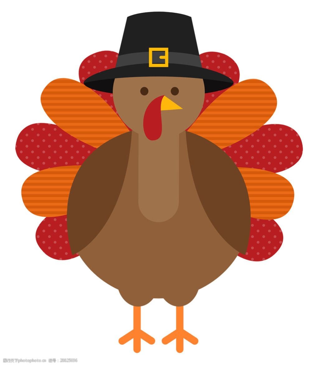 手绘简约土耳其鸟免抠png透明素材