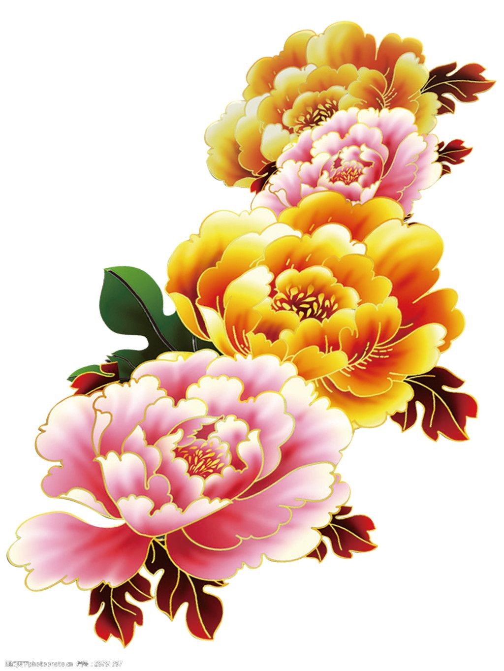 精美彩色牡丹图案元素图片-图行天下图库
