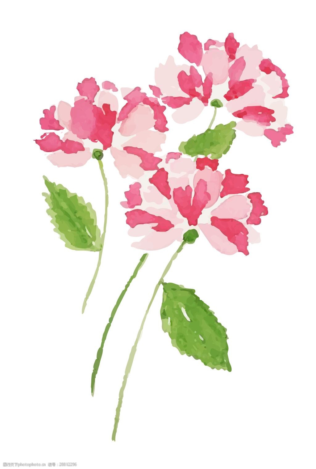 手绘水彩花花康乃馨母亲节贺卡