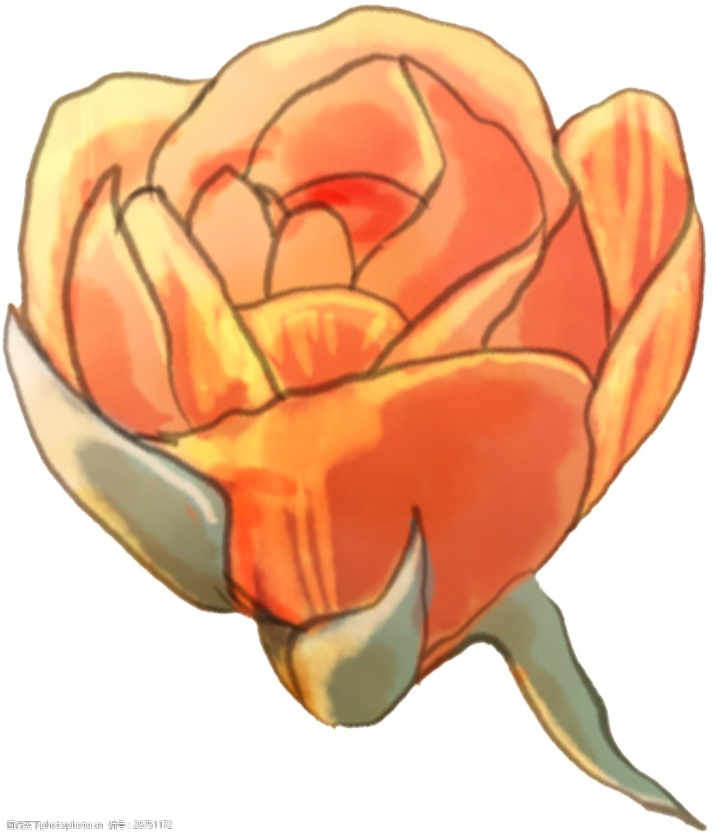 橘色月季透明装饰图案