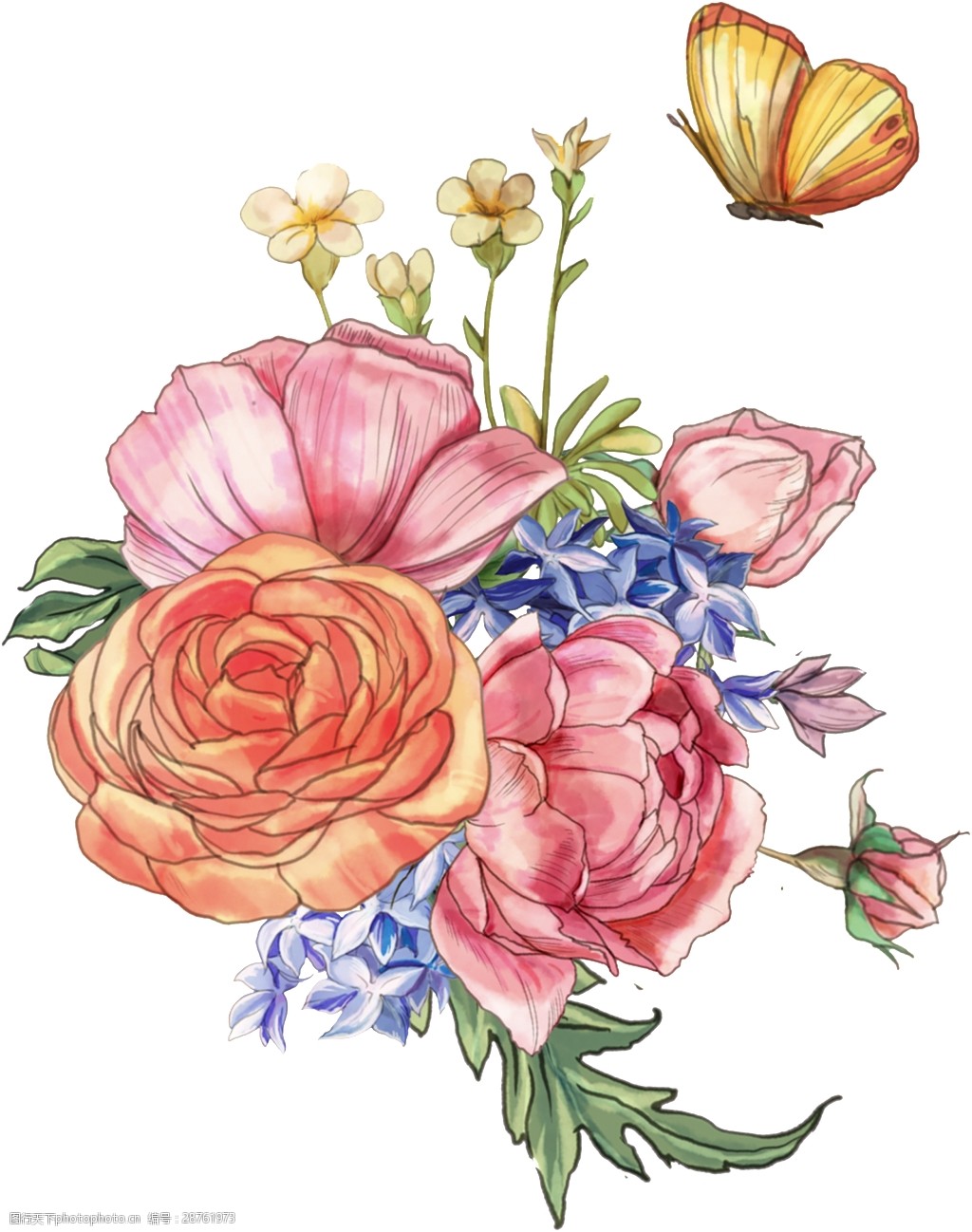 手绘水彩玫瑰花透明装饰图案