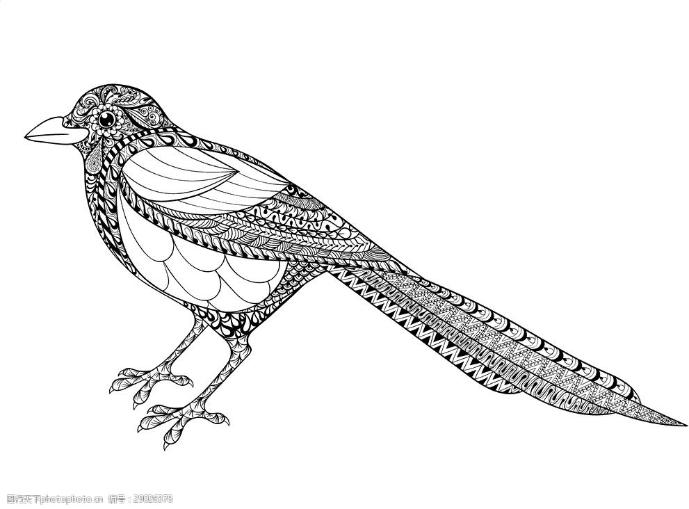 手绘线描黑白动物矢量图