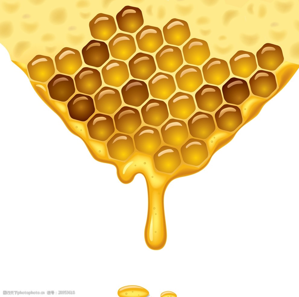 蜂蜜蜂窝素材