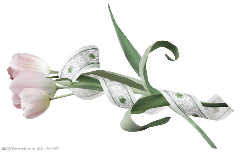 素雅清新花束png透明素材