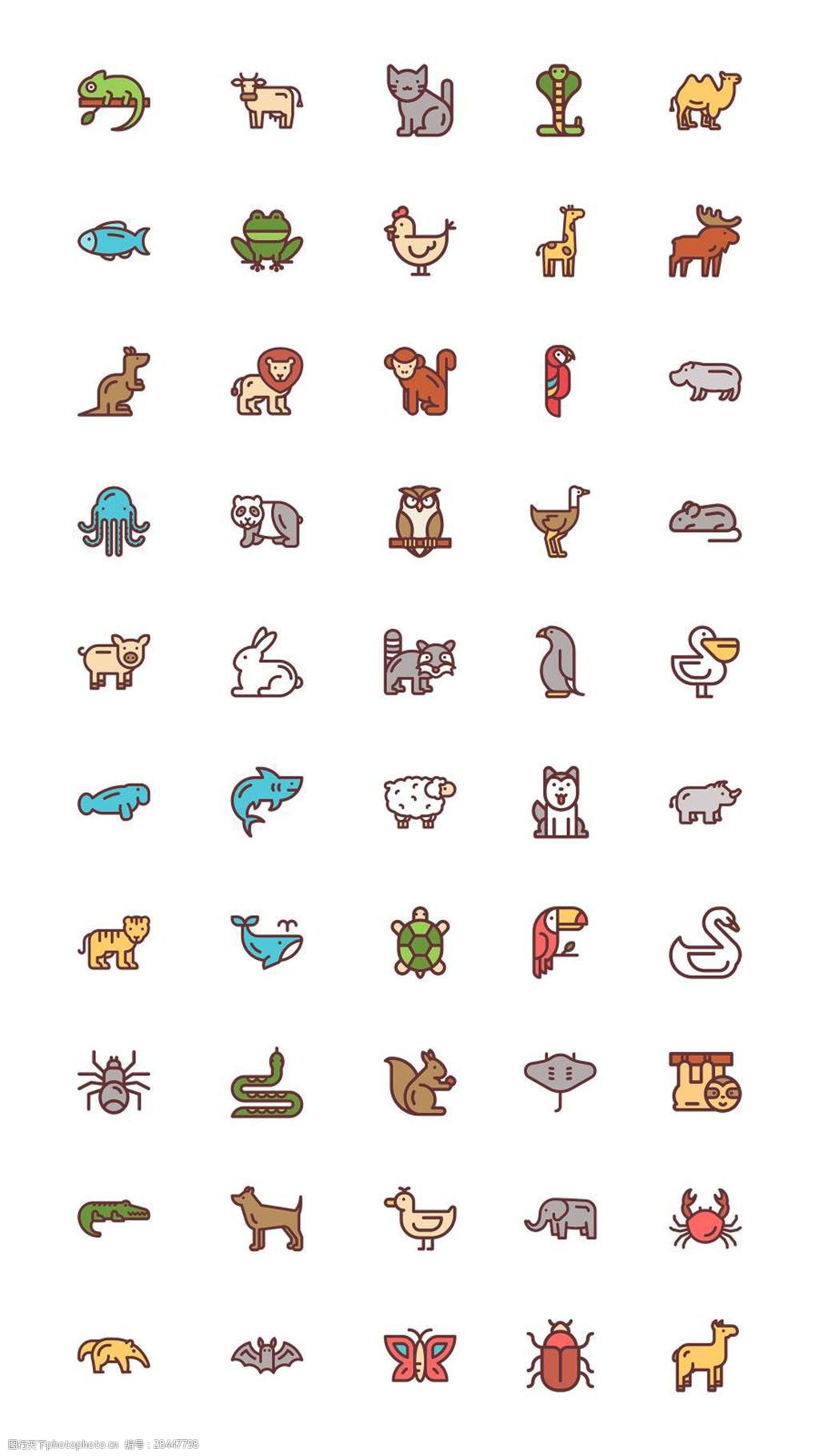 50枚动物线性图标sketch素材