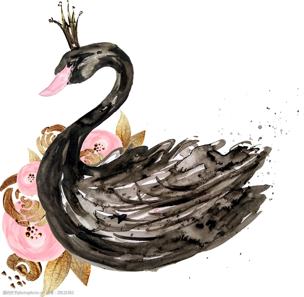 关键词:水彩黑天鹅透明素材 水彩 黑天鹅 卡通 抠图专用 png 装饰