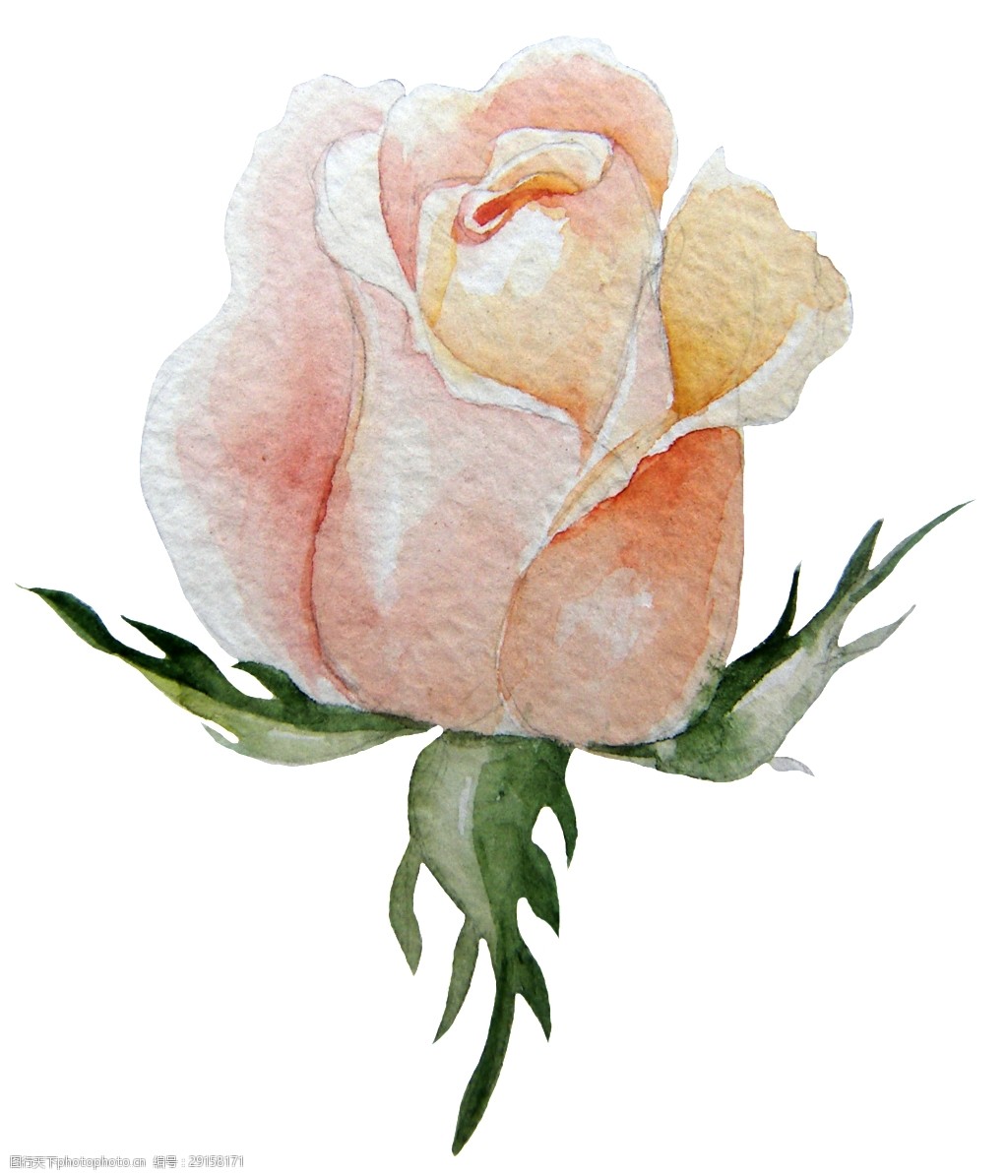 吐心花蕊卡通透明素材