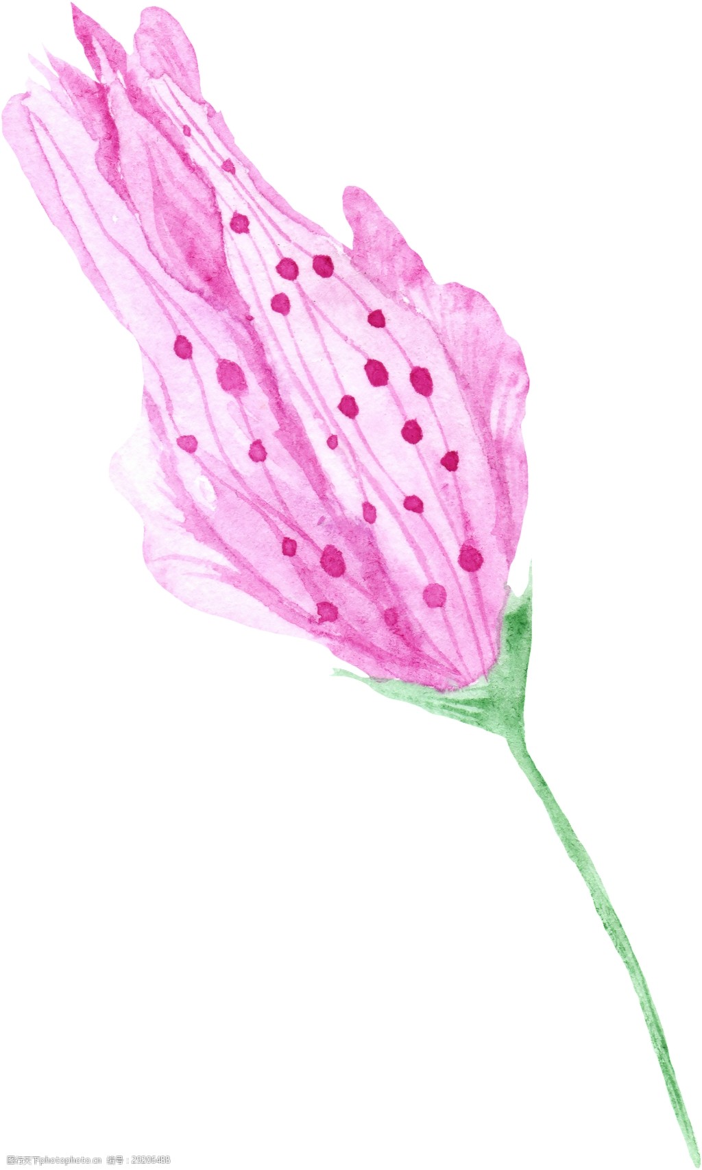 红点花蕊卡通水彩透明素材