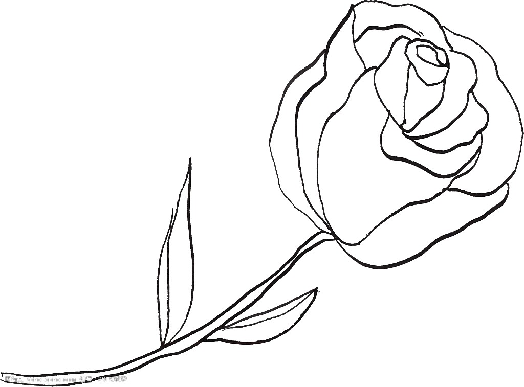 手绘浪漫玫瑰花卡通透明素材