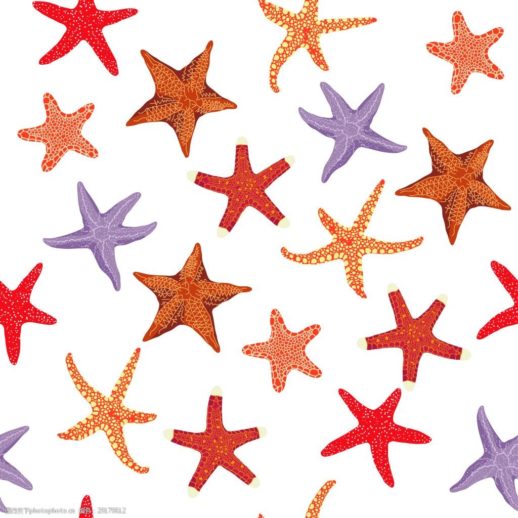 清新海星壁纸图案