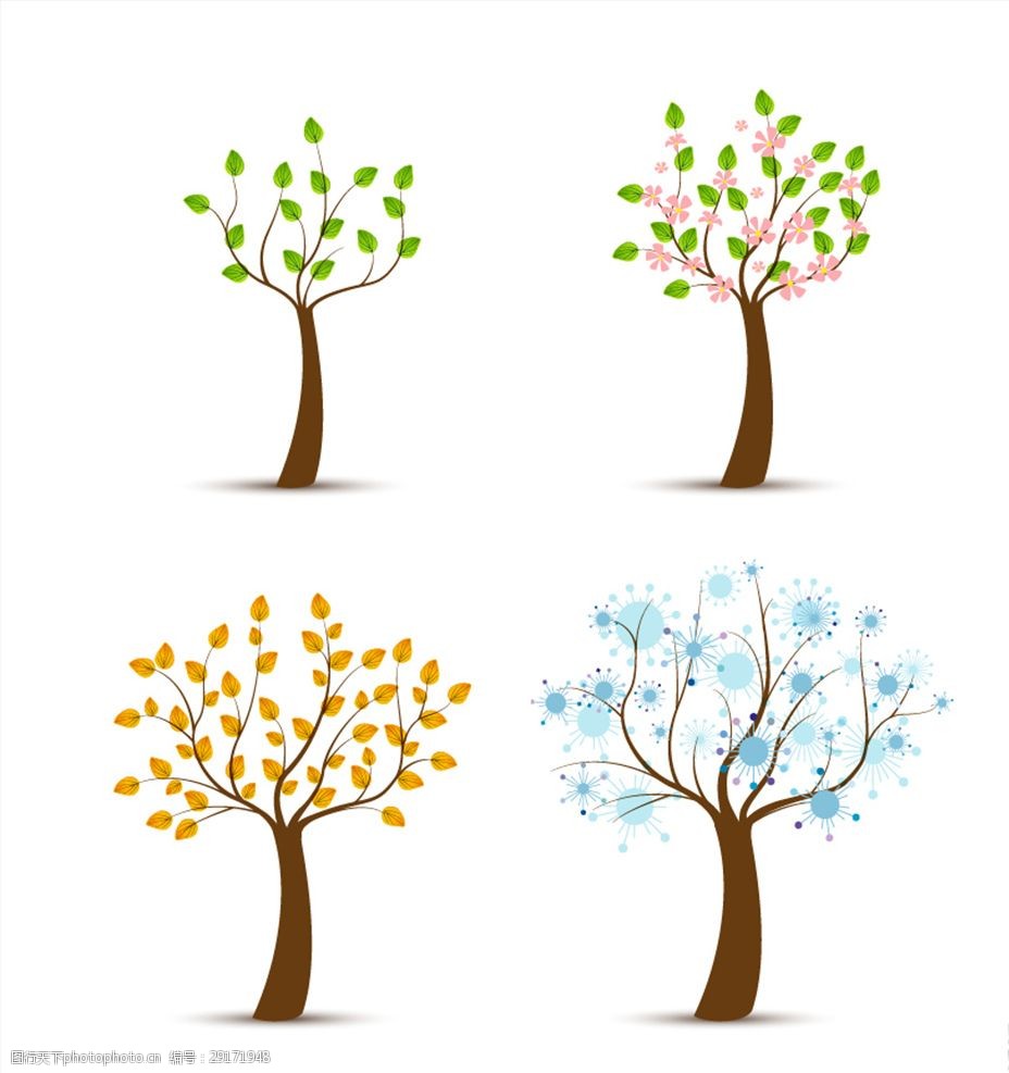 四颗春夏秋冬的树插画矢量素材