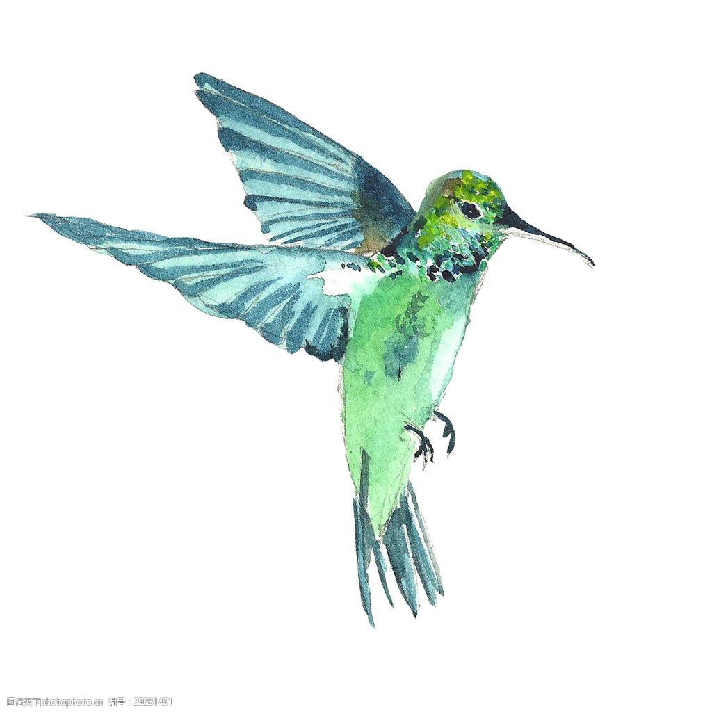 飞翔小鸟psd源文件