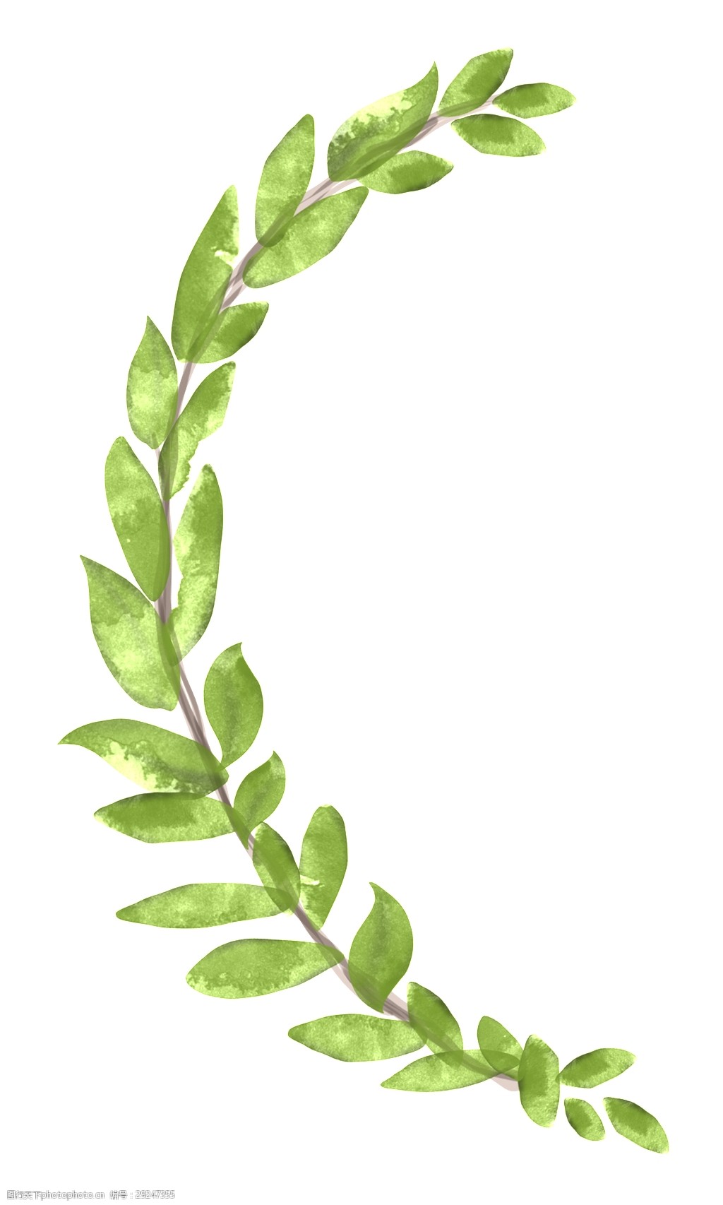 关键词:左边枝叶卡通透明素材 植物 绿色 透明素材 免扣素材 装饰图案