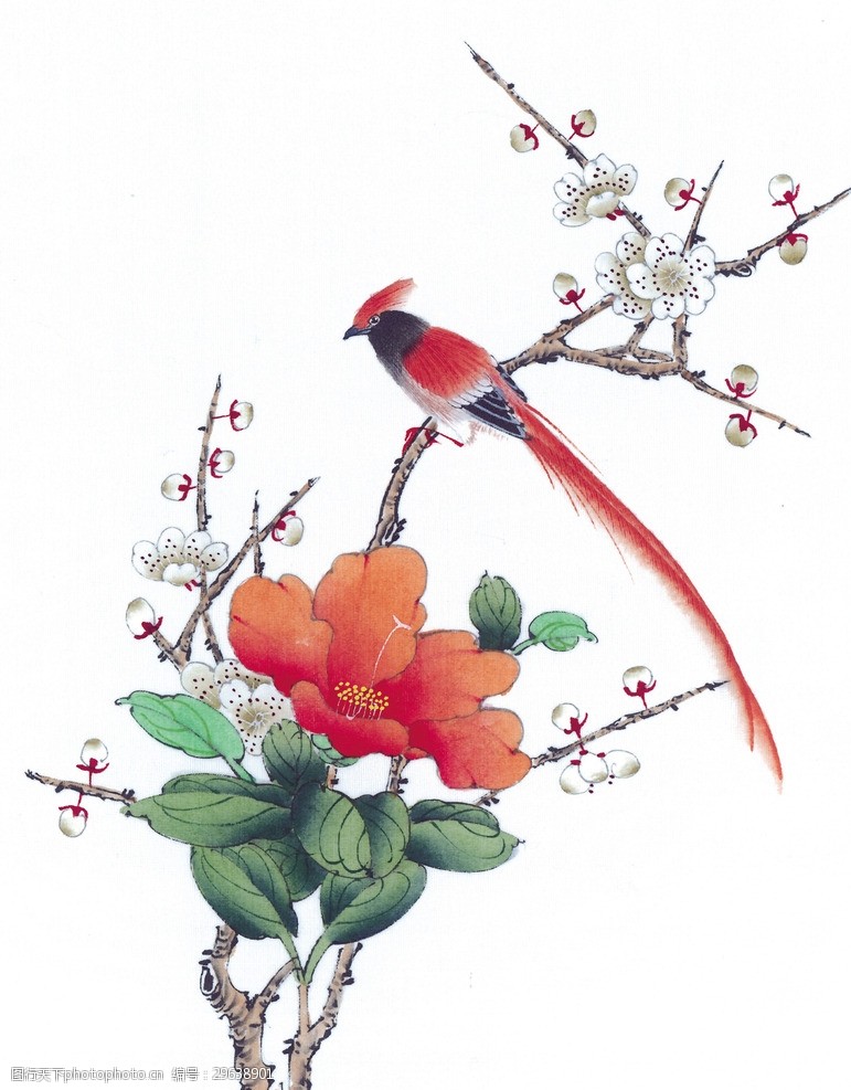 中式花鸟工笔画