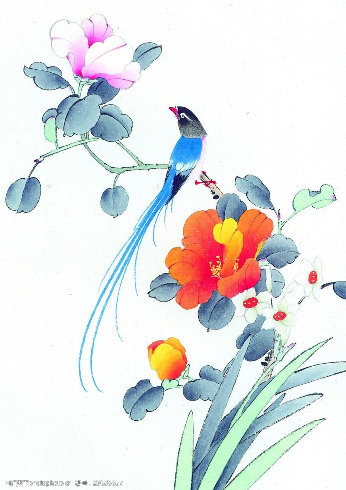 中式花鸟工笔画