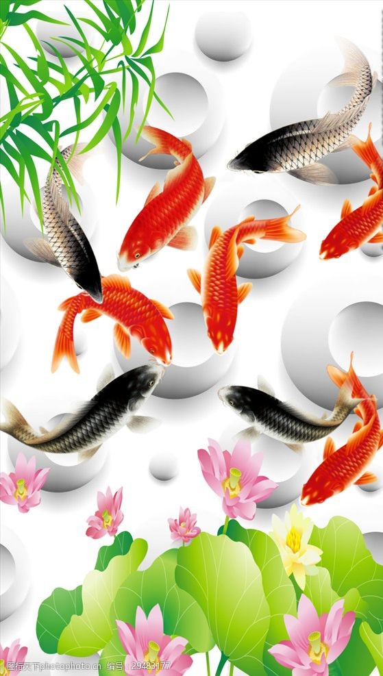 鲤鱼戏水玄关