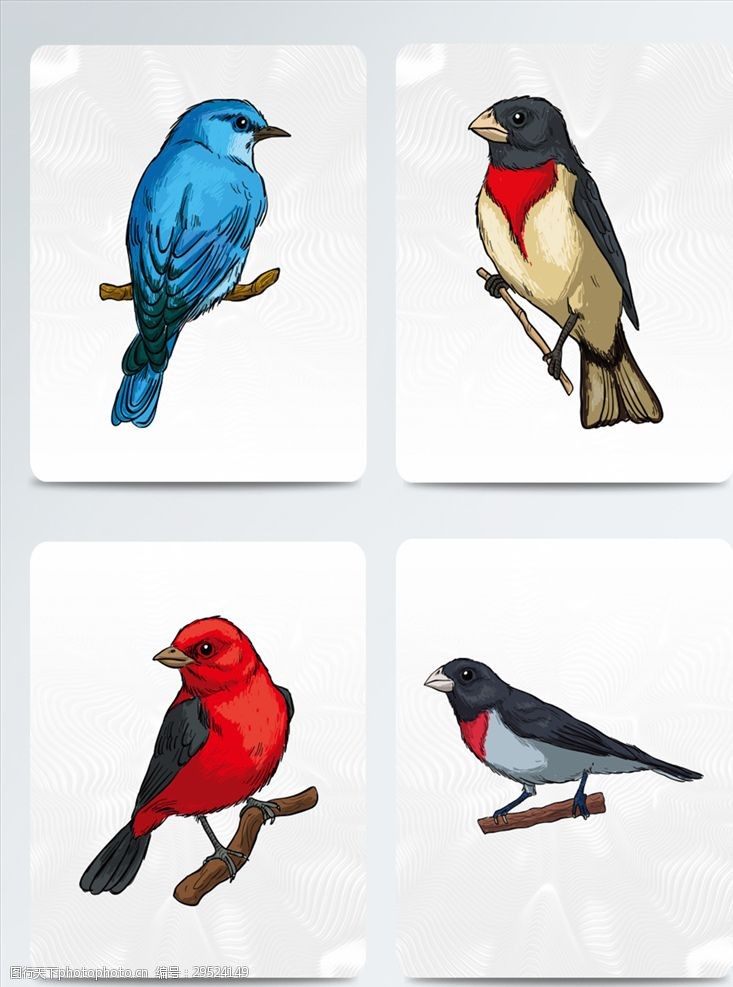 高清鸟手绘素材