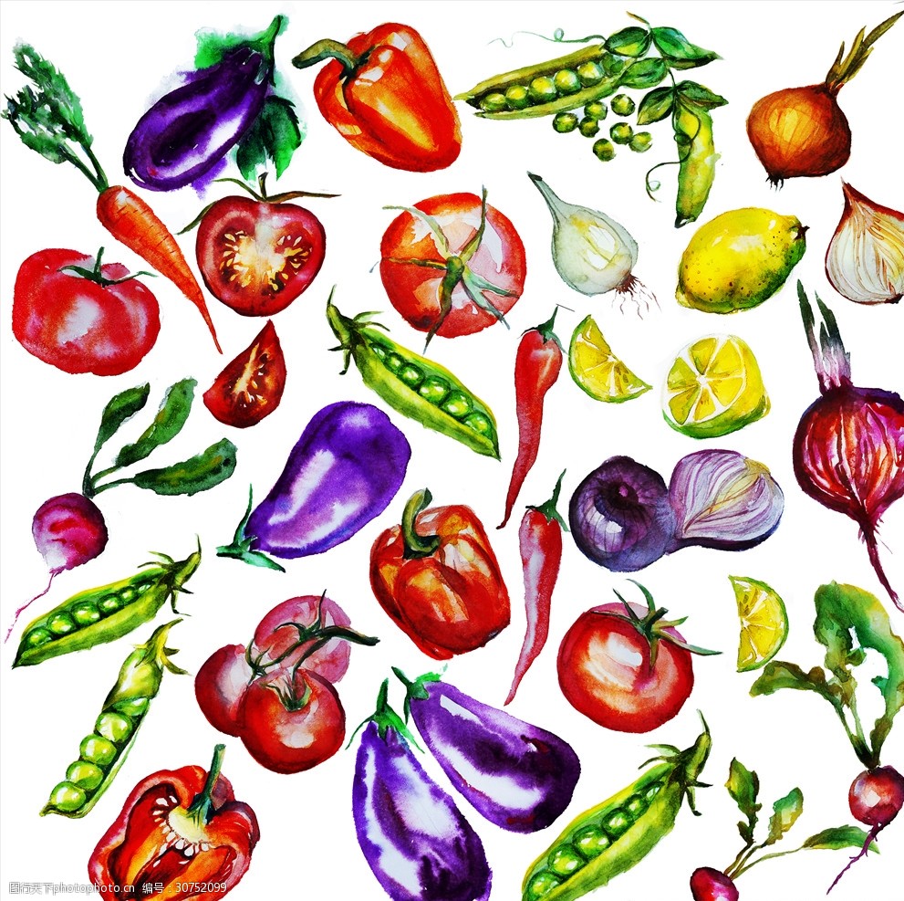 关键词:水彩绘蔬菜和水果 插画 彩色 手绘 水彩绘 蔬菜 水果 茄子