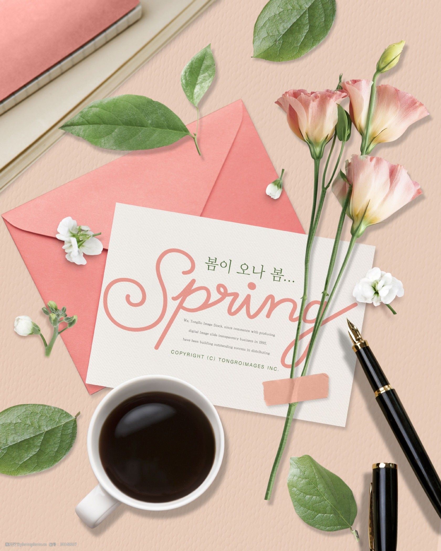 韩式精致春天气息海报模板设计